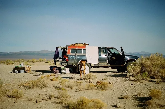 Music To Go Rockhounding By